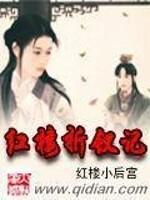 红楼梦折情攻略